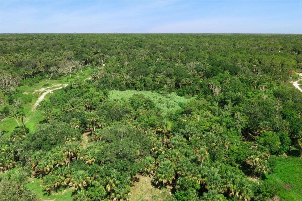 Canvasback Trail , Geneva, FL 32732 Photo