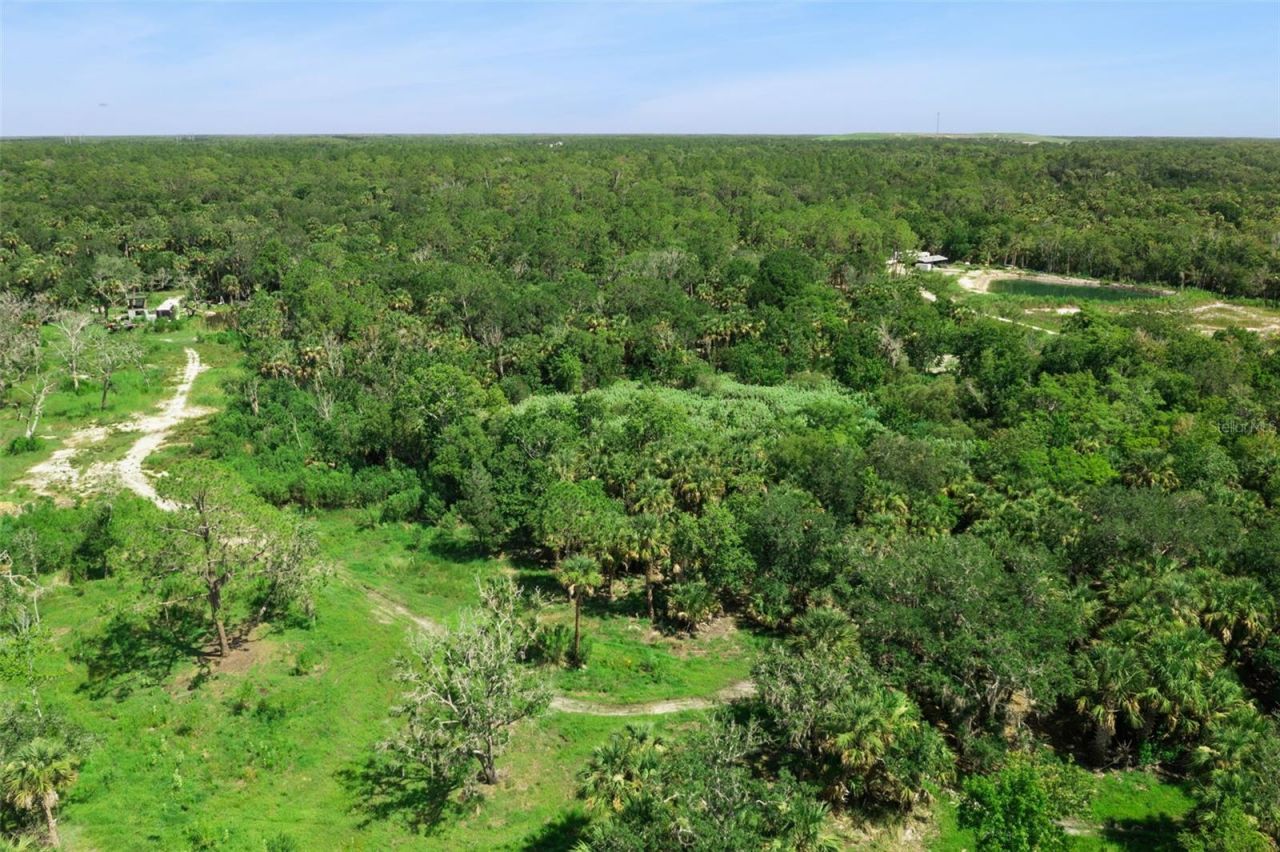 Canvasback Trail , Geneva, FL 32732 Photo