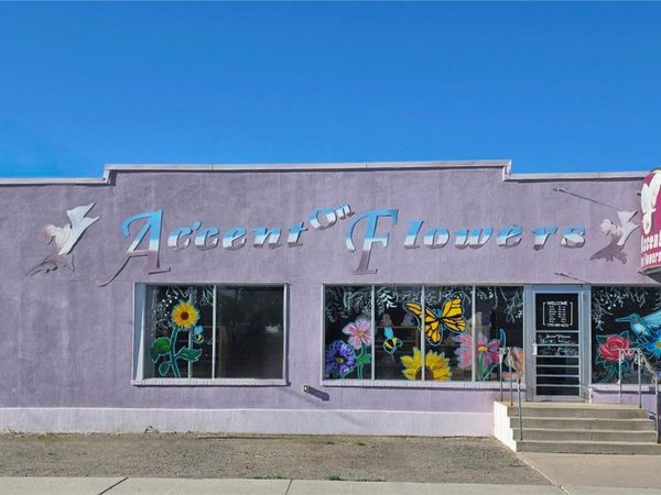 1114 Main Street , Alamosa, CO 81101