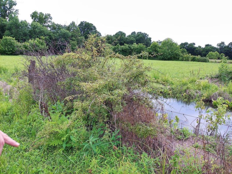 2650 Old Landing Road, Owenton, KY 40359 Photo 10