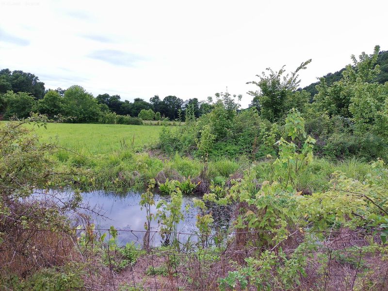 2650 Old Landing Road, Owenton, KY 40359 Photo 11