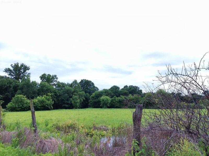 2650 Old Landing Road, Owenton, KY 40359 Photo 12