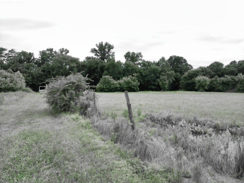 2650 Old Landing Road, Owenton, KY 40359 Photo 13