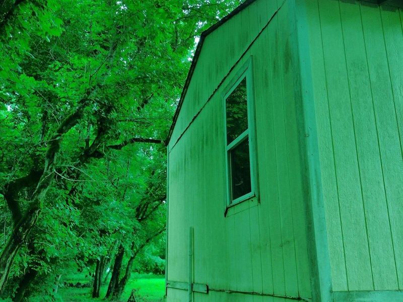 2650 Old Landing Road, Owenton, KY 40359 Photo 15