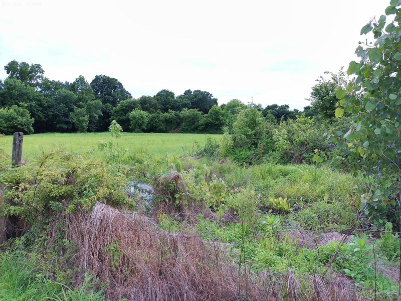 2650 Old Landing Road, Owenton, KY 40359 Photo 17