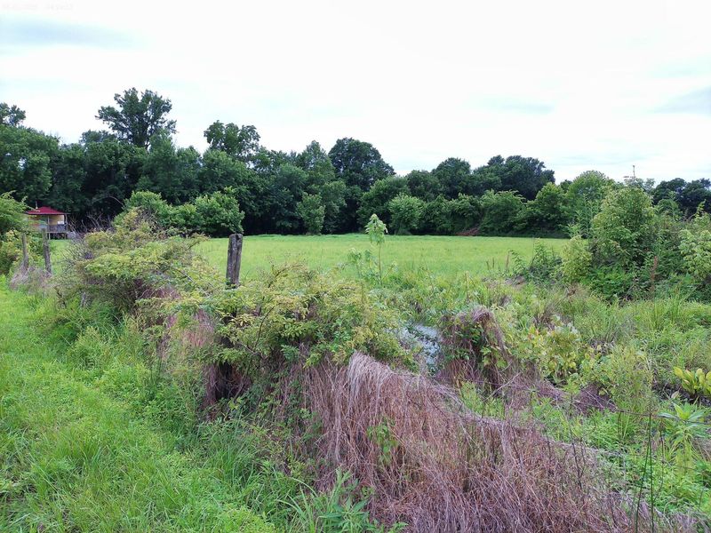 2650 Old Landing Road, Owenton, KY 40359 Photo 18
