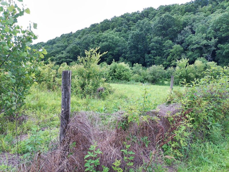 2650 Old Landing Road, Owenton, KY 40359 Photo 19