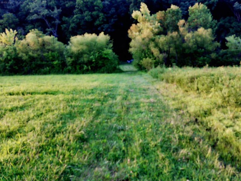 2650 Old Landing Road, Owenton, KY 40359 Photo 2