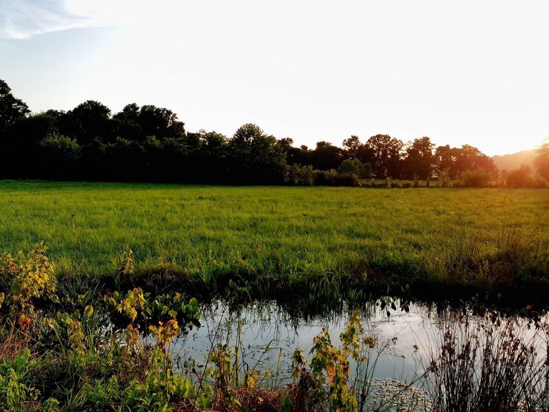 2650 Old Landing Road, Owenton, KY 40359 Photo 23
