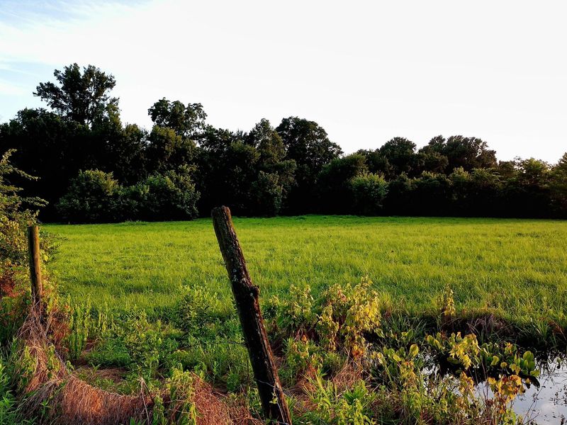2650 Old Landing Road, Owenton, KY 40359 Photo 24
