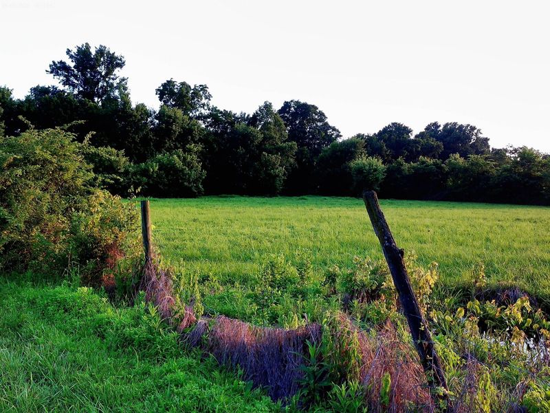 2650 Old Landing Road, Owenton, KY 40359 Photo 25