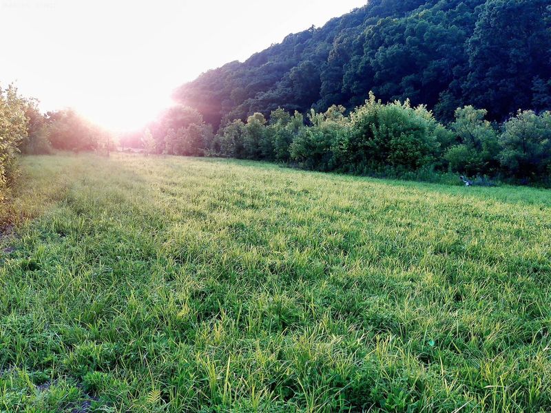 2650 Old Landing Road, Owenton, KY 40359 Photo 26