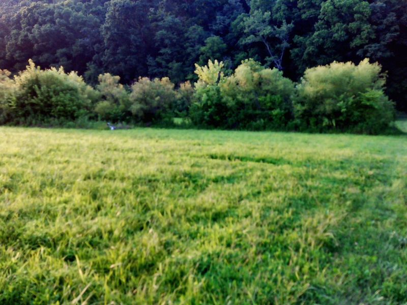 2650 Old Landing Road, Owenton, KY 40359 Photo 27