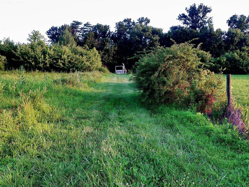 2650 Old Landing Road, Owenton, KY 40359 Photo 3