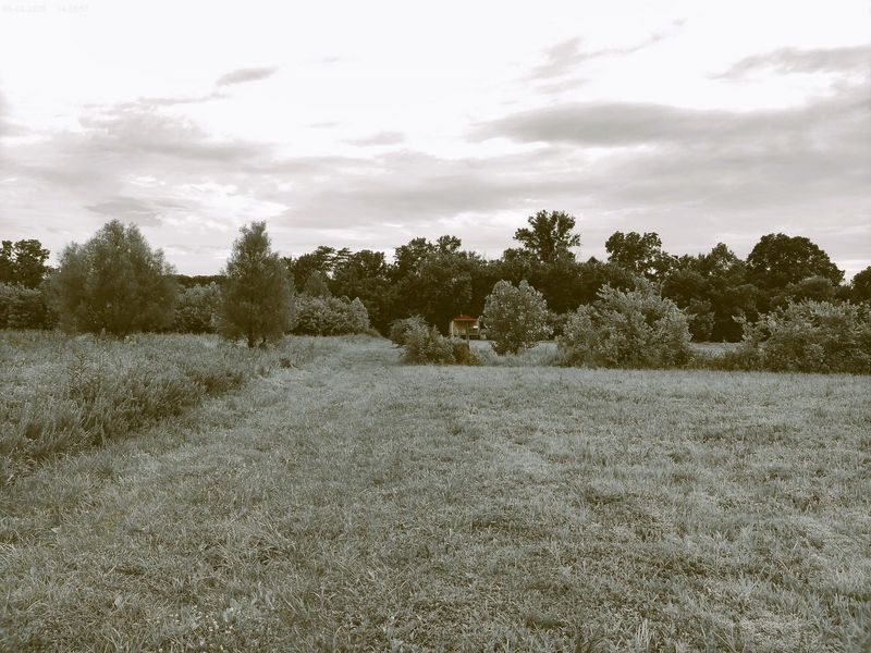 2650 Old Landing Road, Owenton, KY 40359 Photo 4