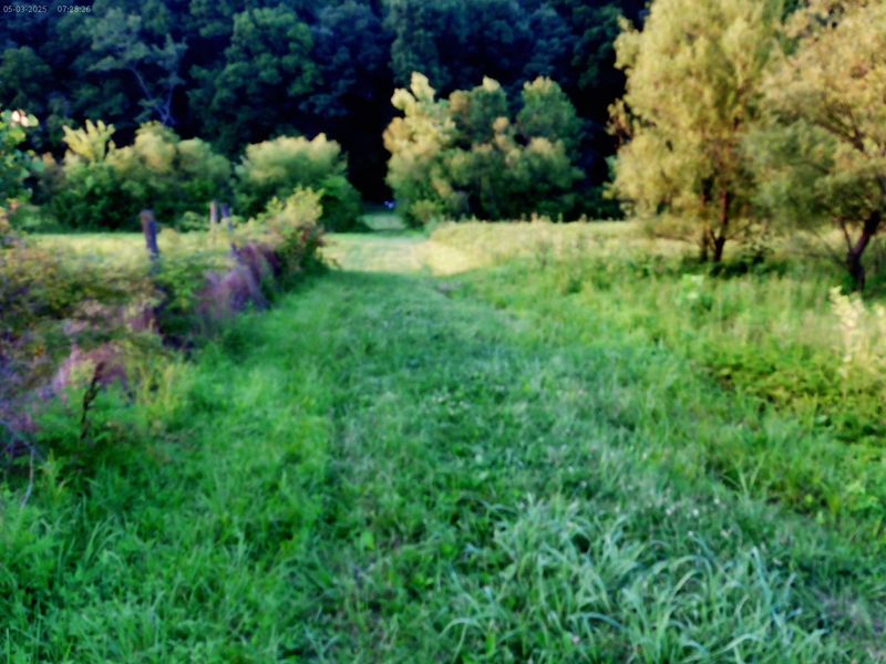 2650 Old Landing Road, Owenton, KY 40359 Photo 6