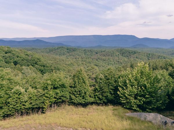 0 Sugar Tree Hollow RD , Eagle Rock, VA 24085