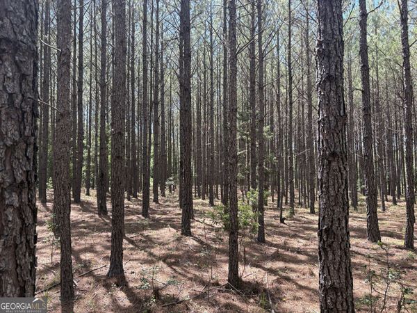 TBD Wriley Road, Mcintyre, GA 31054