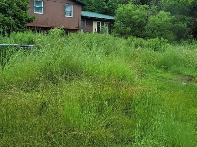 45789 Carlisle Road, Lisbon, OH 44432 Photo 3