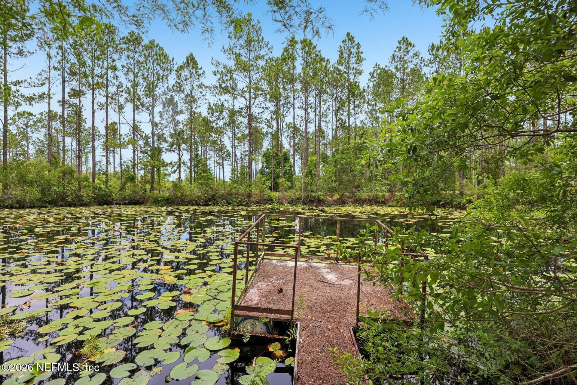 341 Volusian Forest Trail, Pierson, FL 32180 Photo