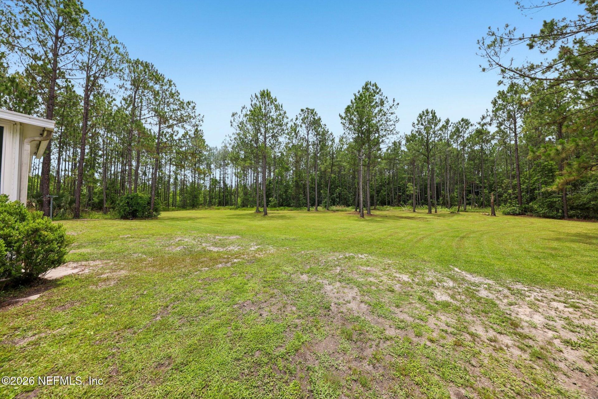 341 Volusian Forest Trail, Pierson, FL 32180 Photo