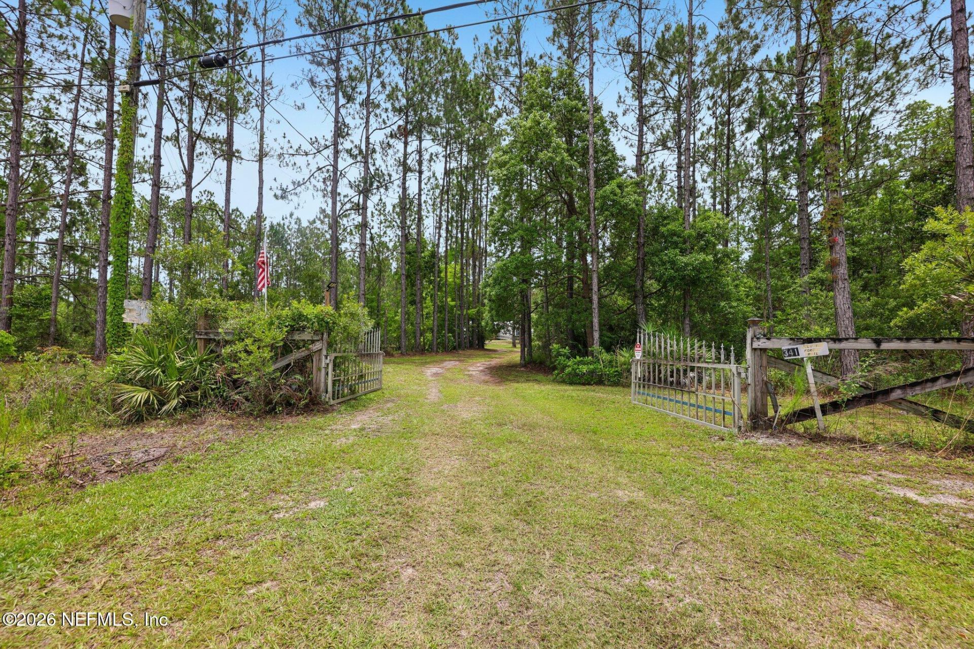 341 Volusian Forest Trail, Pierson, FL 32180 Photo