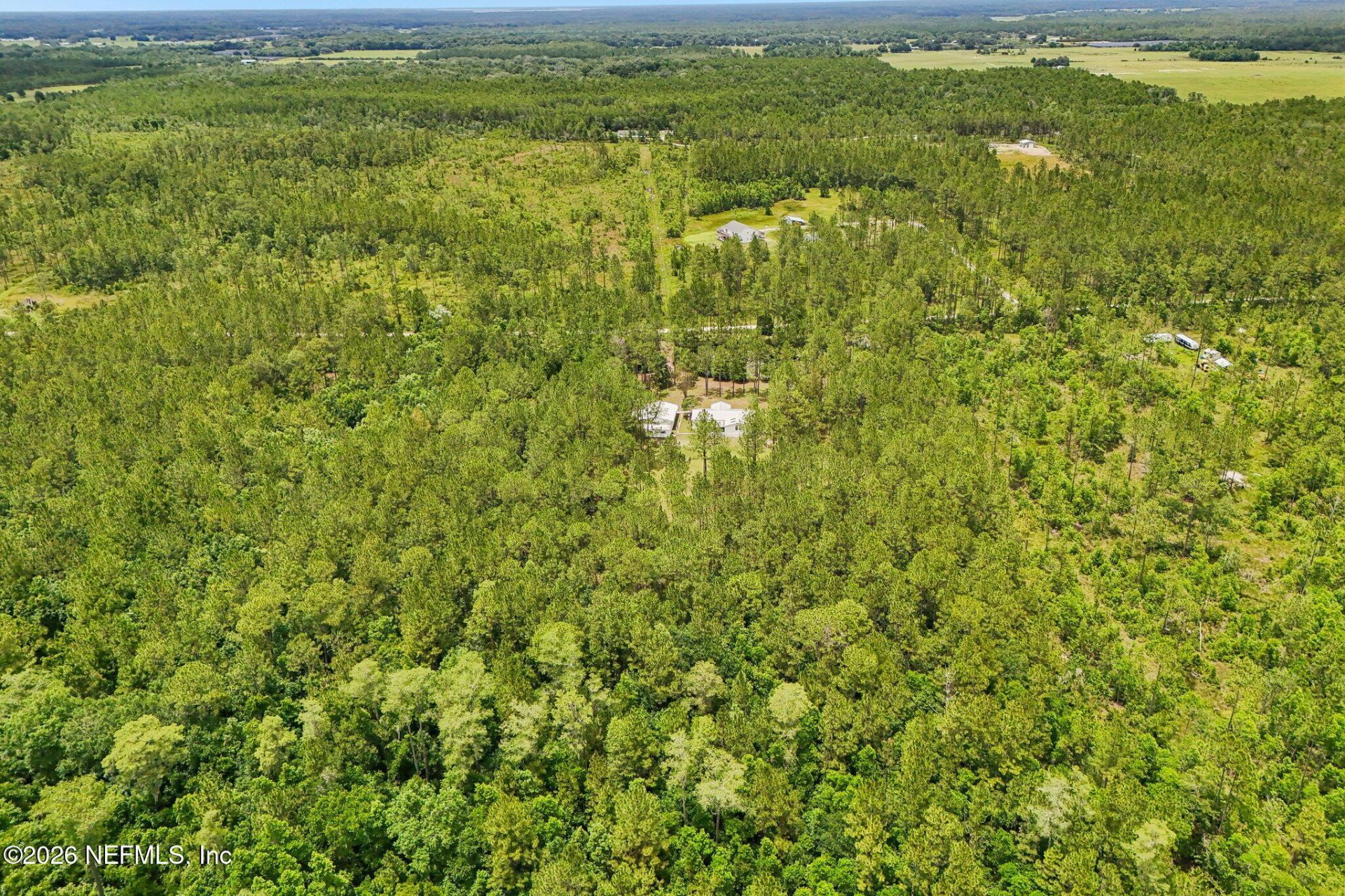 341 Volusian Forest Trail, Pierson, FL 32180 Photo