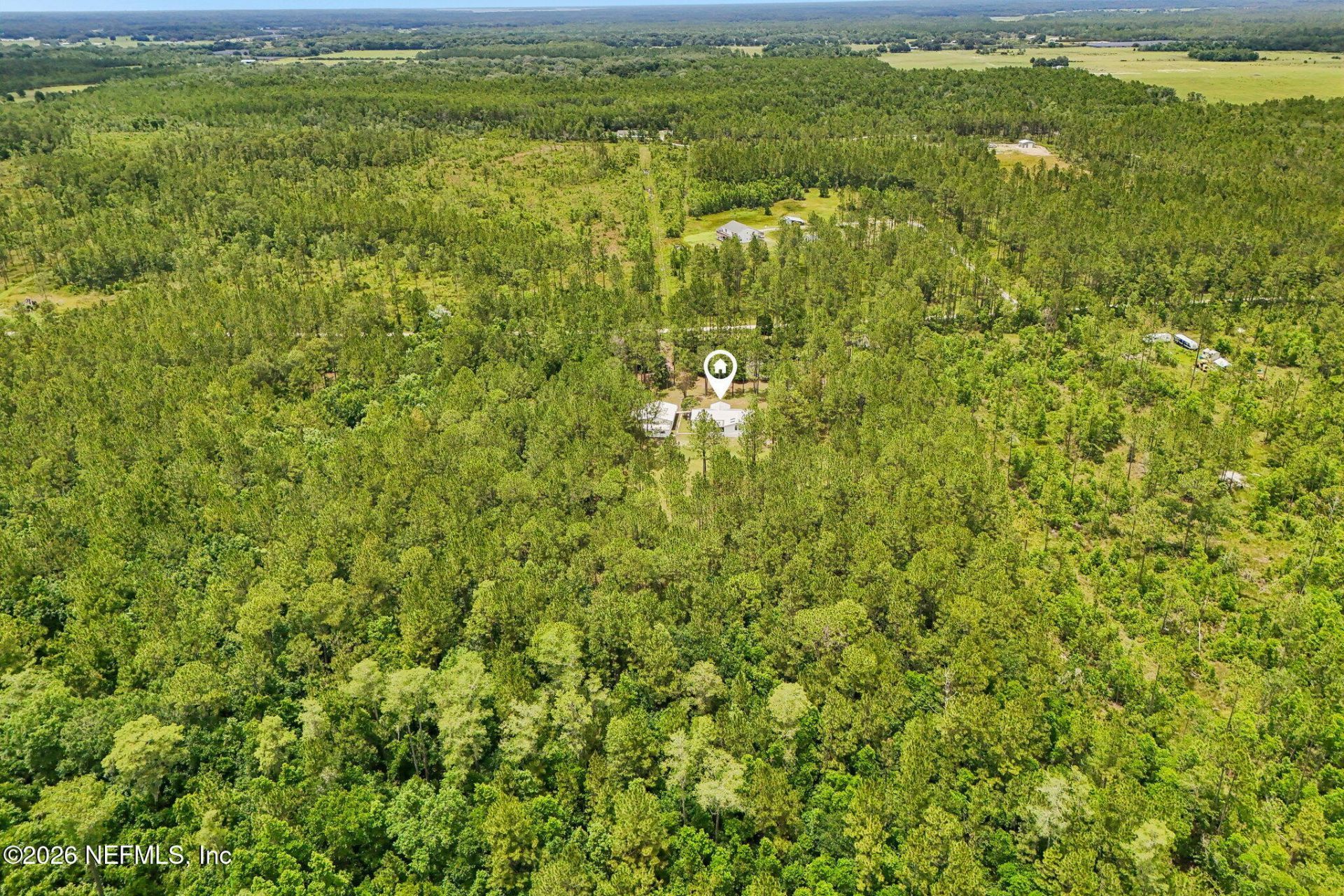 341 Volusian Forest Trail, Pierson, FL 32180 Photo