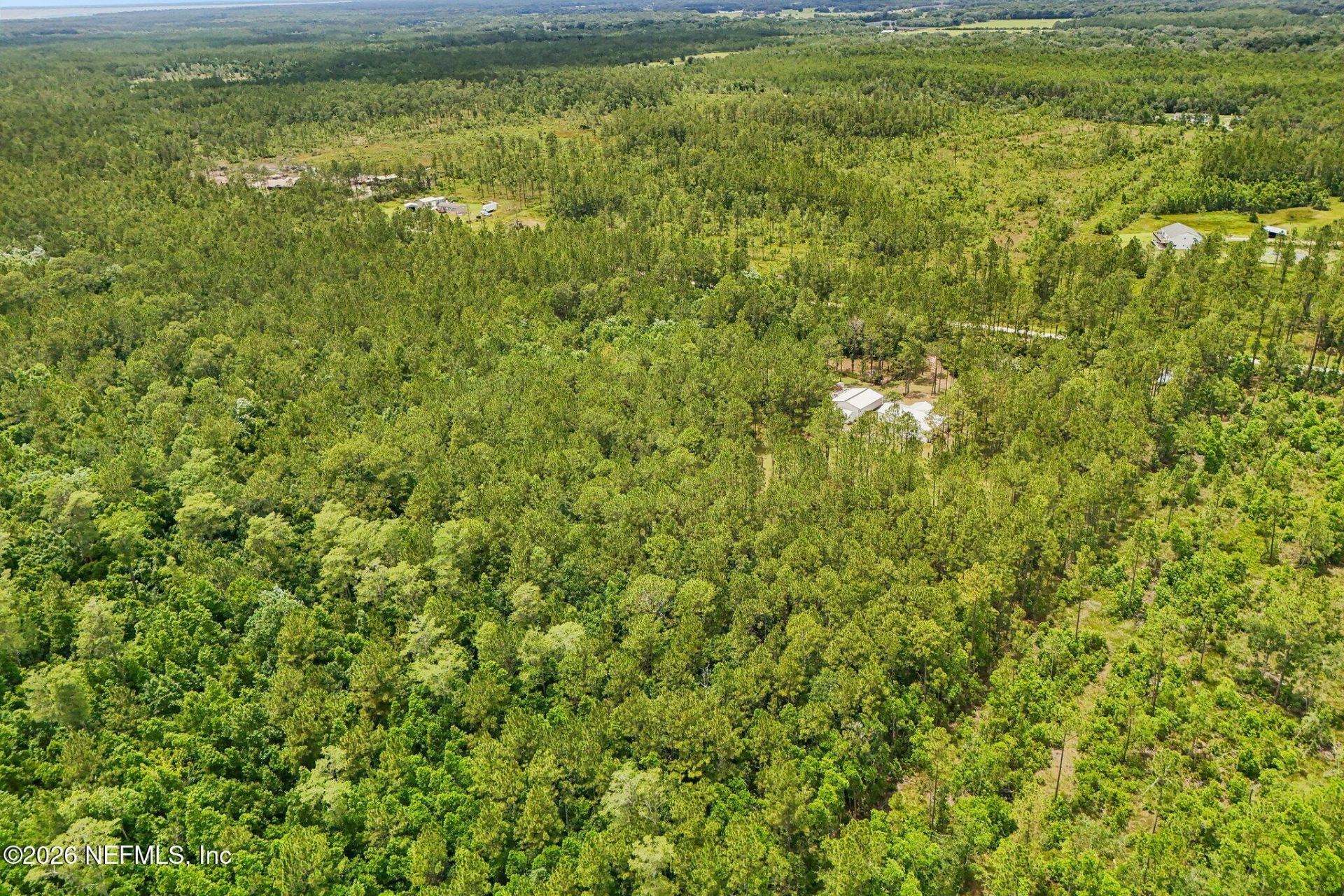 341 Volusian Forest Trail, Pierson, FL 32180 Photo