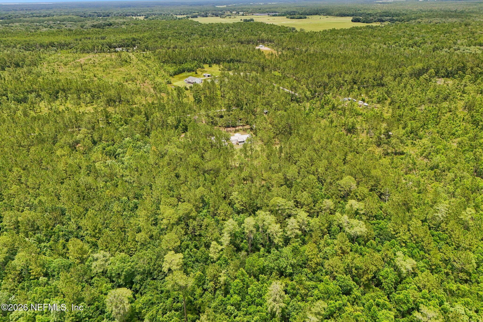 341 Volusian Forest Trail, Pierson, FL 32180 Photo