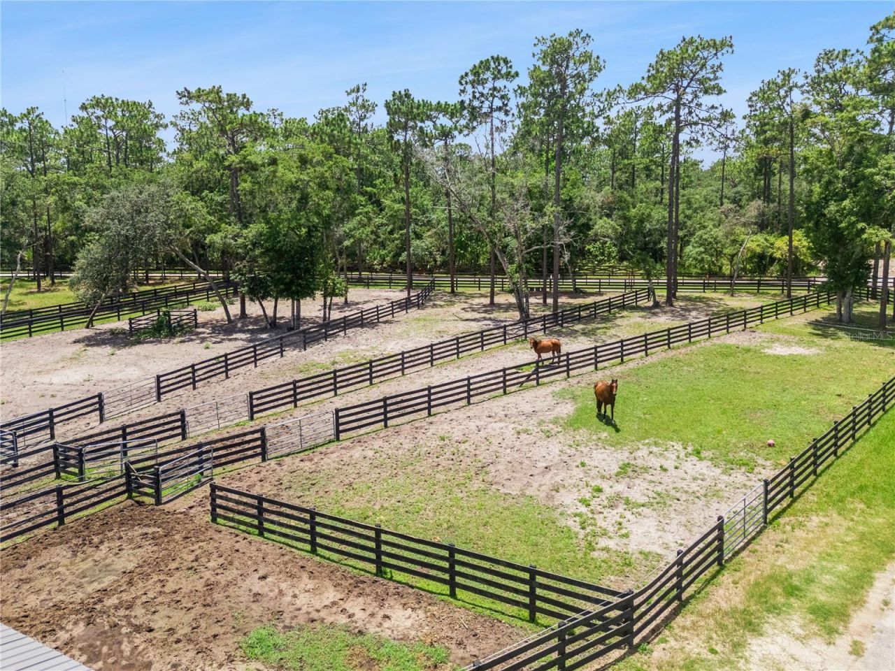 2370 Pine Meadows Place, Oviedo, FL 32766 Photo