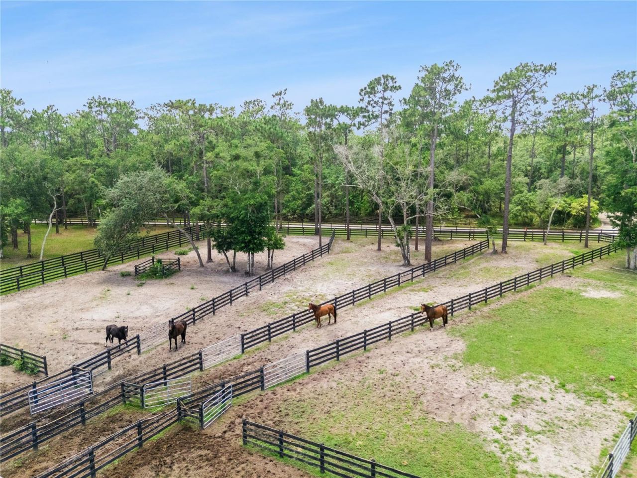 2370 Pine Meadows Place, Oviedo, FL 32766 Photo