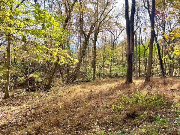 872 Mullen Road, Washington Twp, OH 45153