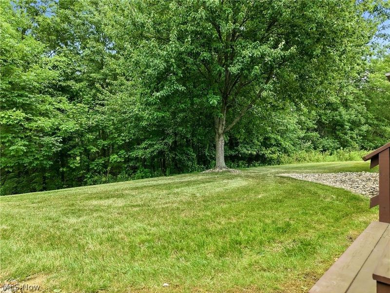 1453 Tripodi Circle, Unit C, Niles, OH 44446 Photo 45