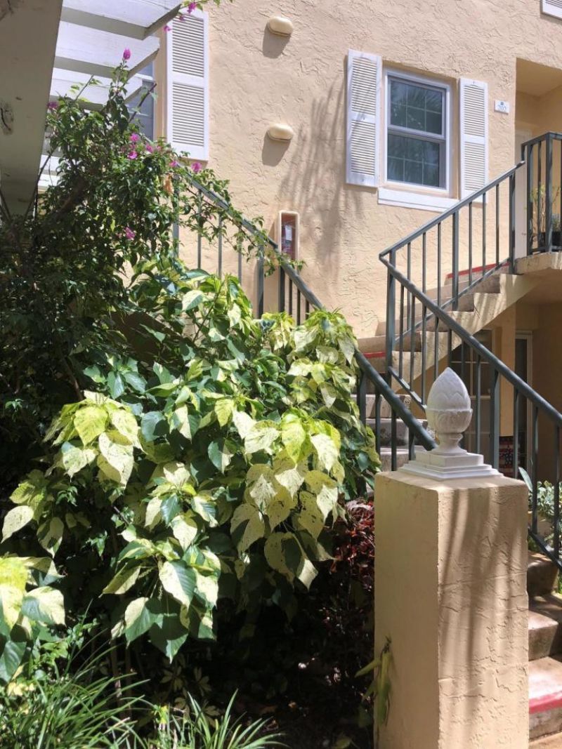 1045 Lake Shore Drive, Unit 206, Lake Park, FL 33403 Photo