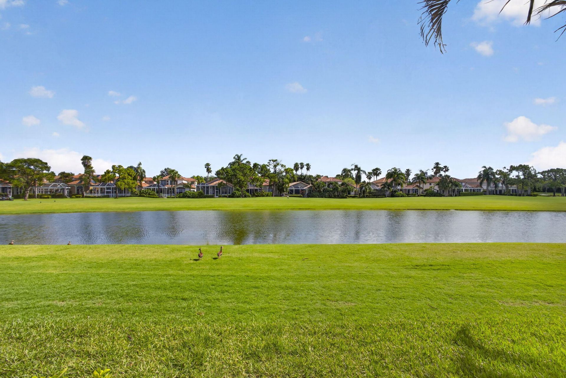 8387 Quail Meadow Way, West Palm Beach, FL 33412 Photo