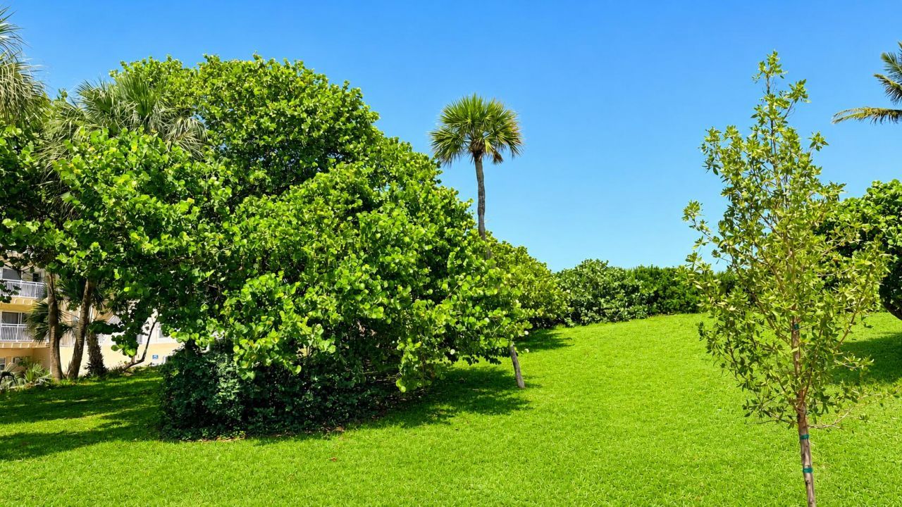 4501 S Ocean Boulevard, Unit D4, South Palm Beach, FL 33480 Photo