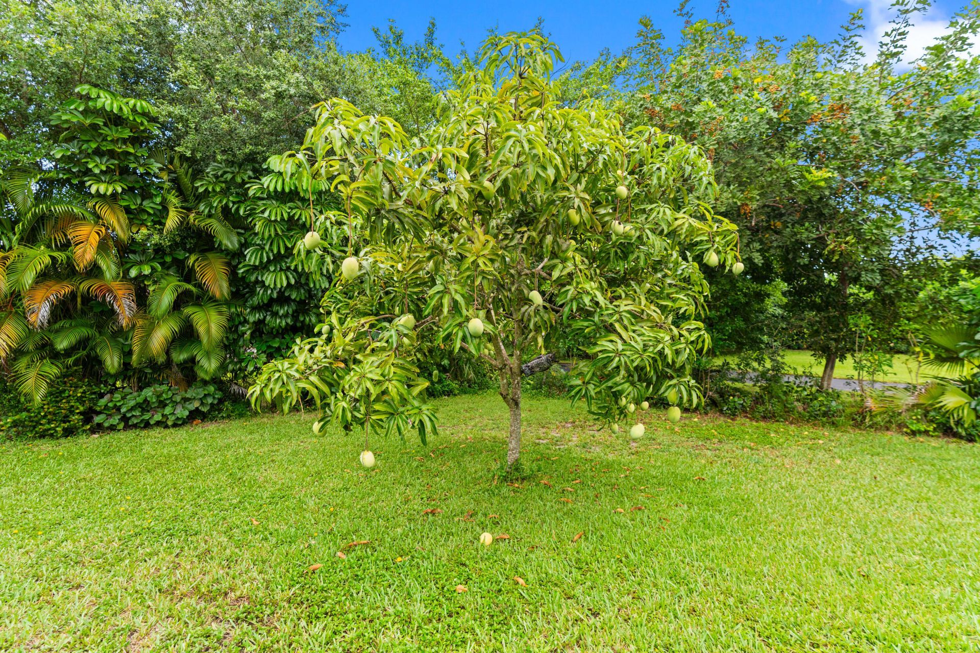 22829 Horse Shoe Way, Boca Raton, FL 33428 Photo