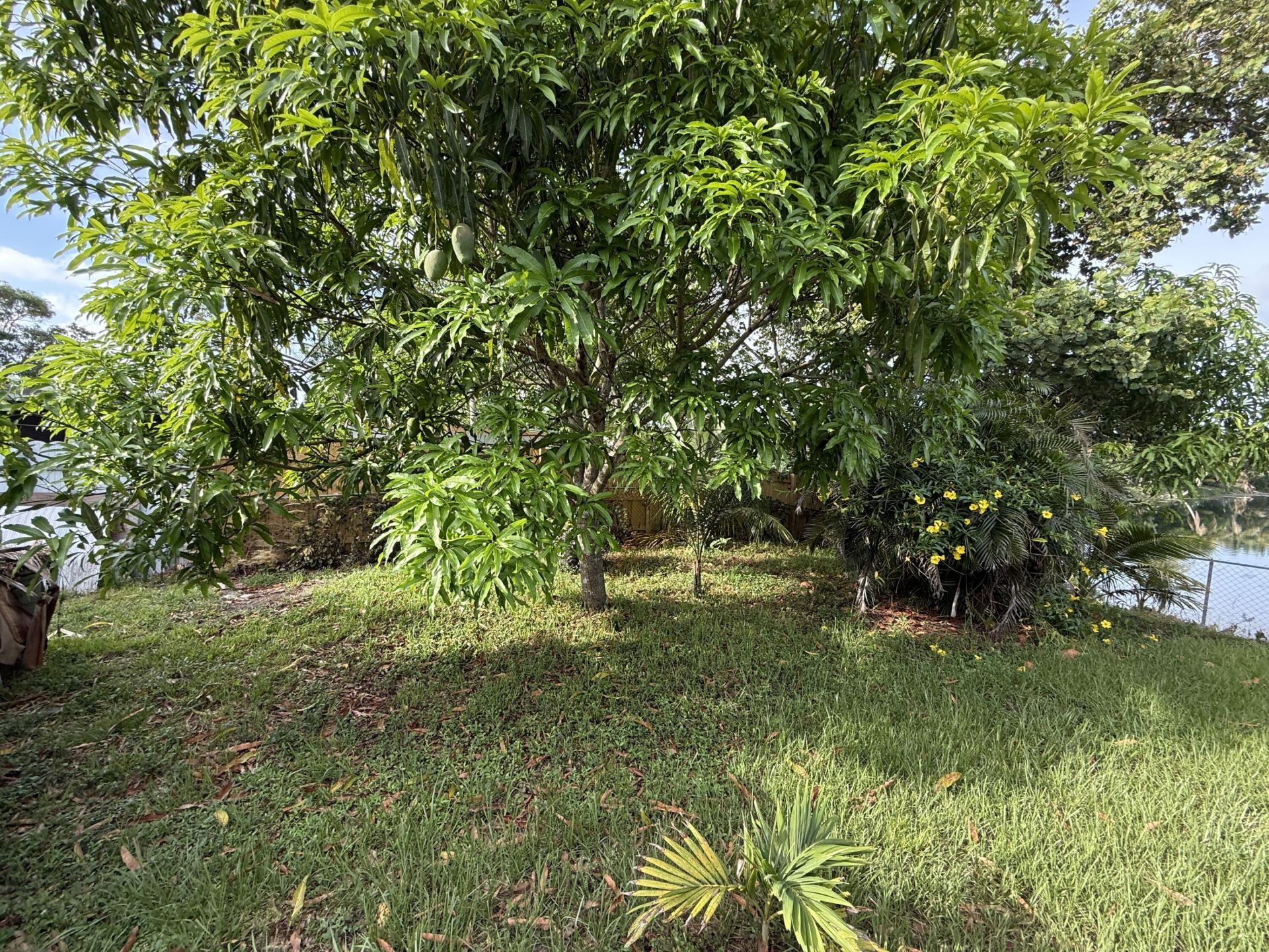 124 NW 45th Avenue, Plantation, FL 33317 Photo