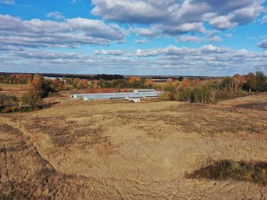 0 Grubbs Road, Clinton, KY 42031