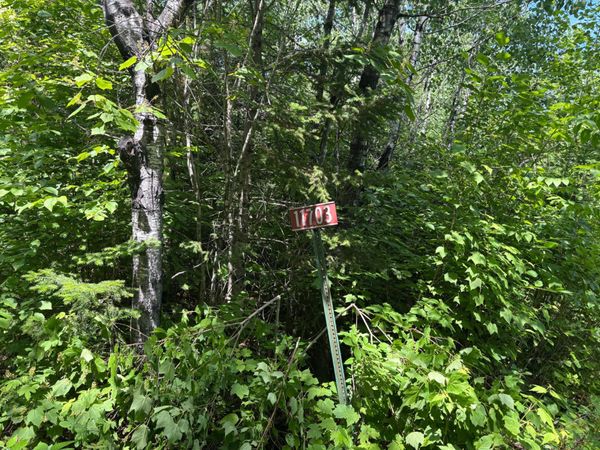 11703 Jacobs Road , Orr, MN 55771