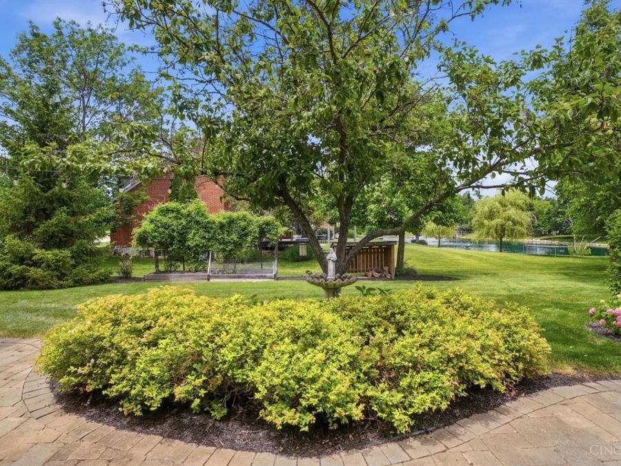Property Image 79