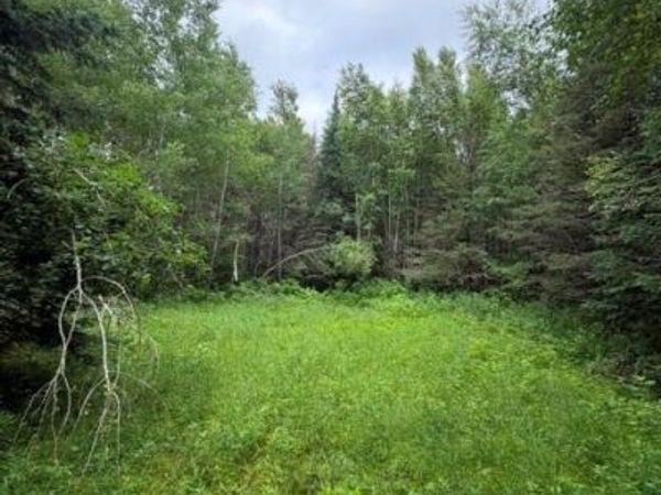 S 20 Acres 5th Ave, Trego, WI 54888