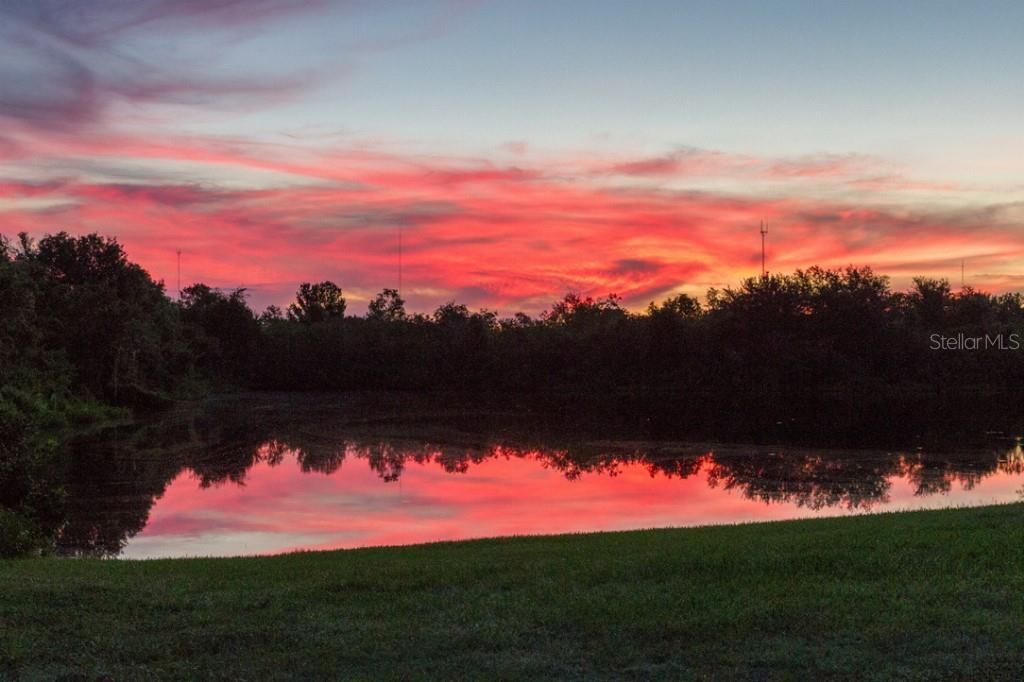 13008 Prestwick Drive, Riverview, FL 33579 Photo
