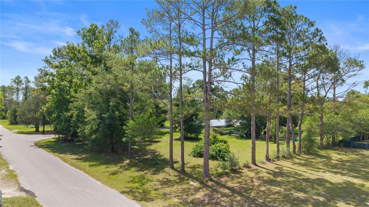 17250 NW 26th Court , Trenton, FL 32693 Photo