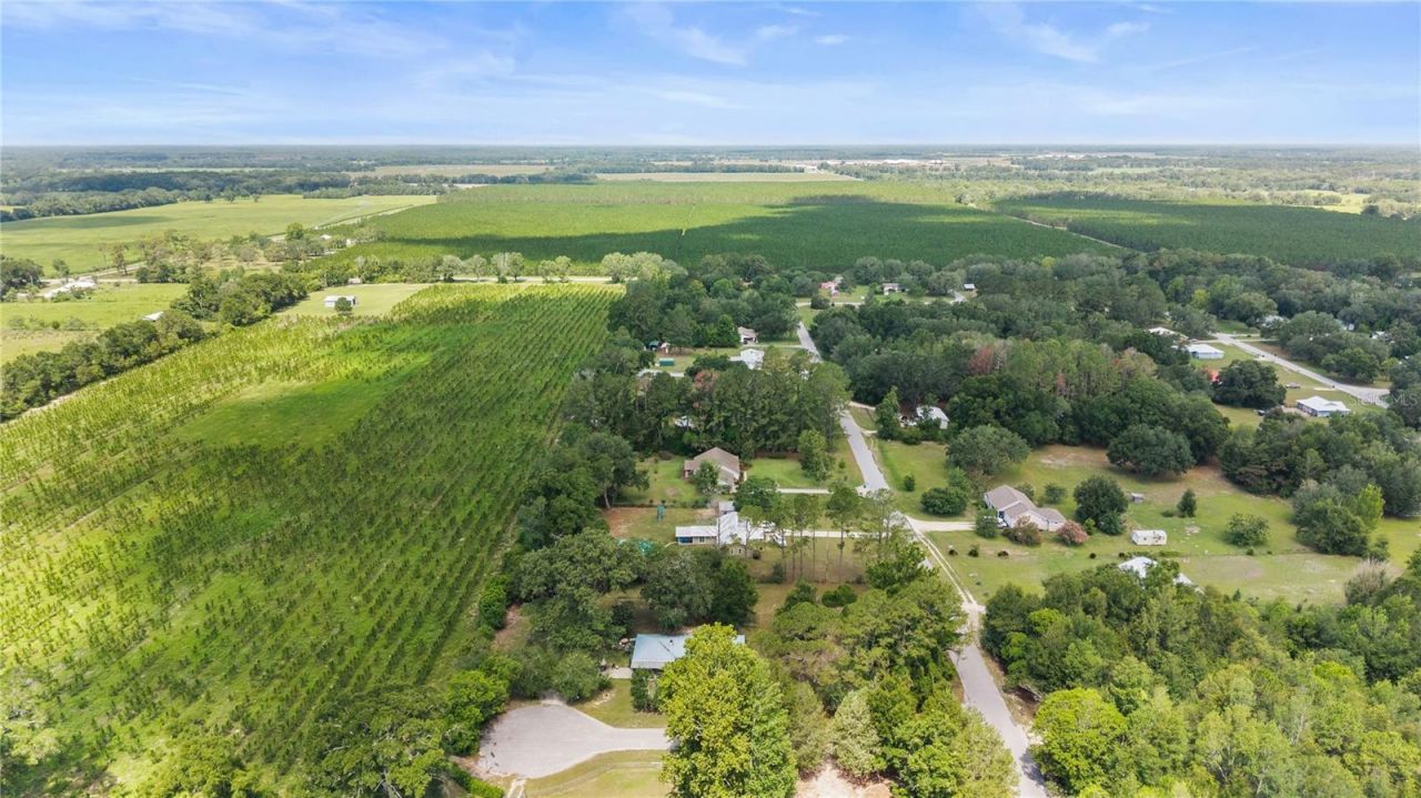 17250 NW 26th Court , Trenton, FL 32693 Photo