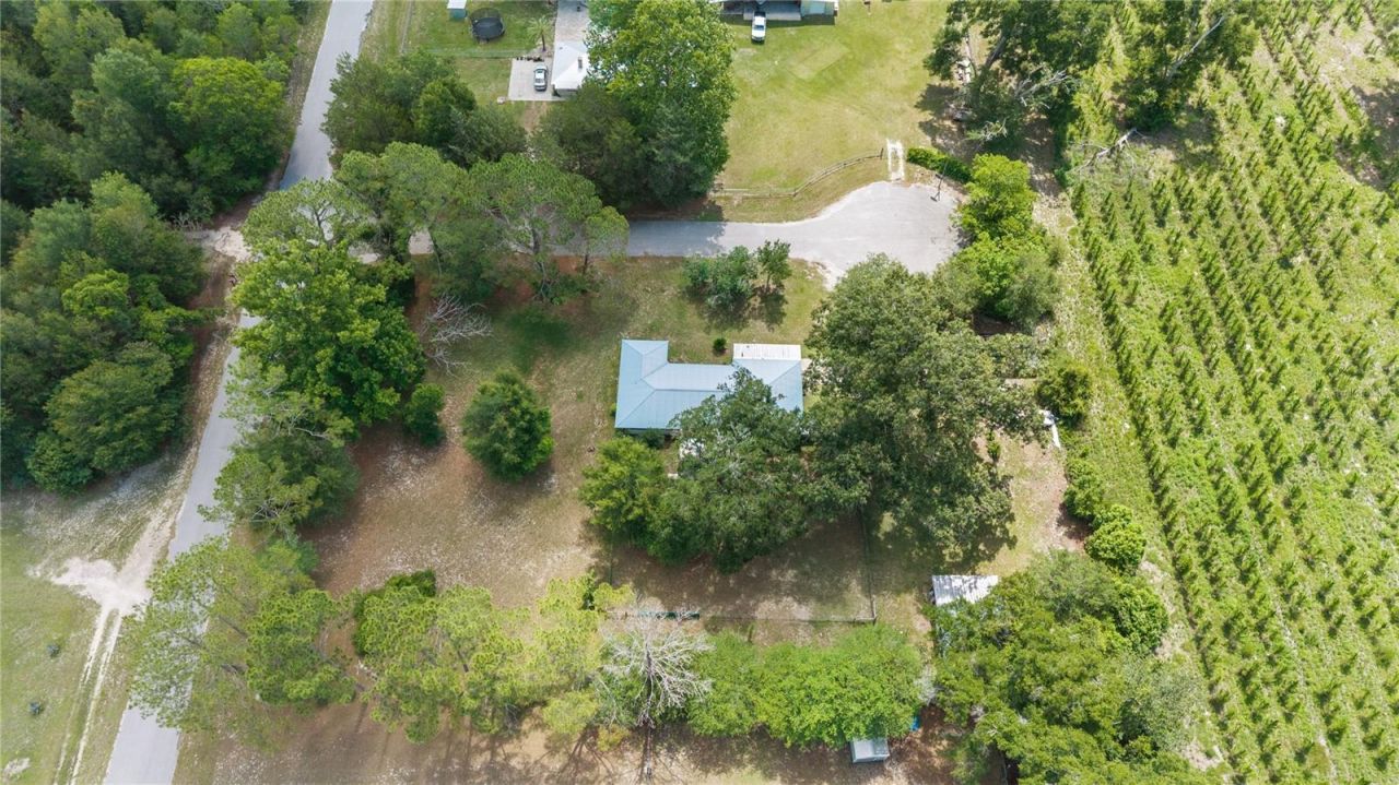 17250 NW 26th Court , Trenton, FL 32693 Photo