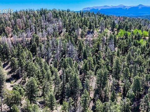 3454 N Mountain Estates Road, Florissant, CO 80816