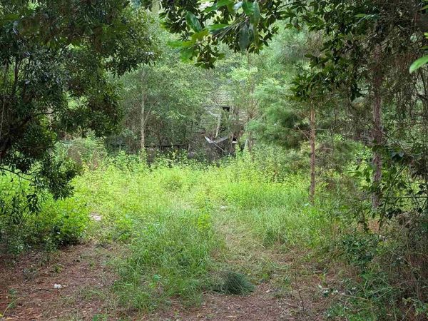 9791 Domino Rd, Milton, FL 32583