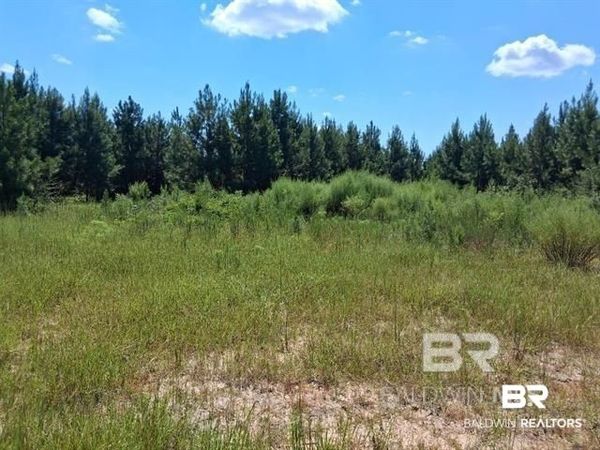 0000 Linholm Road, Robertsdale, AL 36567